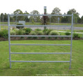 Galvanized Steel Pipe Cattle Fence Cattle gate for Livestock farm fence for Sheep Horse cattle  for sale